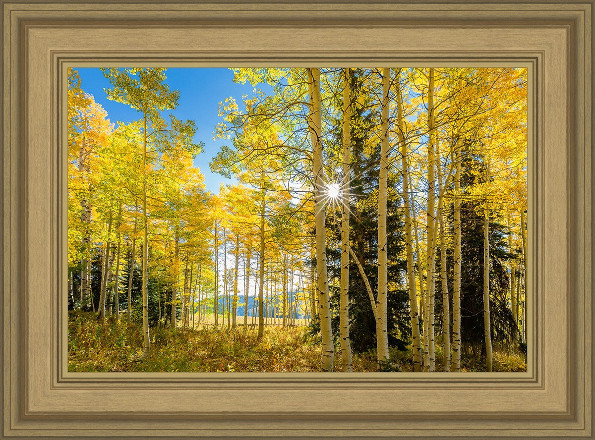 Autumn in the Rocky Mountains, Wasatch National Forest, Utah