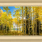 Autumn in the Rocky Mountains, Wasatch National Forest, Utah
