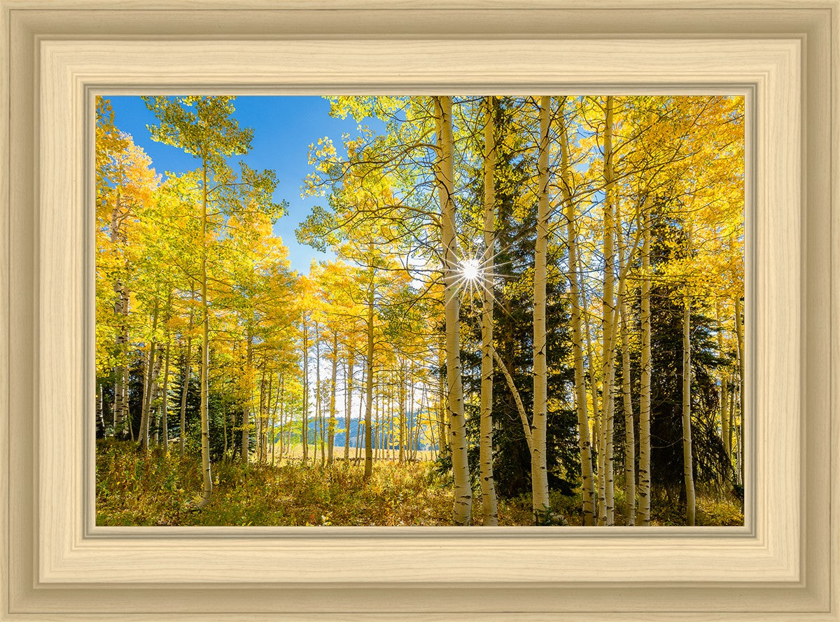 Autumn in the Rocky Mountains, Wasatch National Forest, Utah