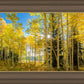 Autumn in the Rocky Mountains, Wasatch National Forest, Utah