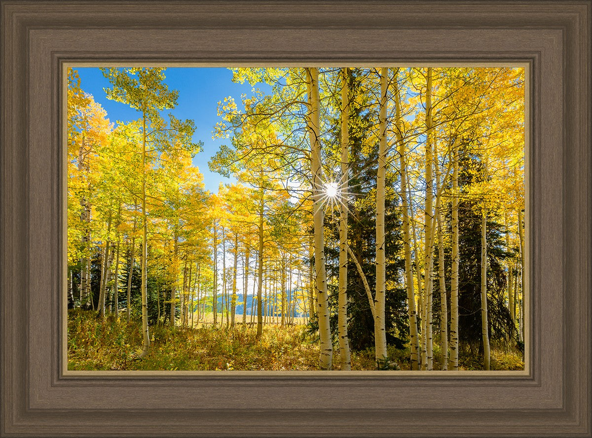 Autumn in the Rocky Mountains, Wasatch National Forest, Utah