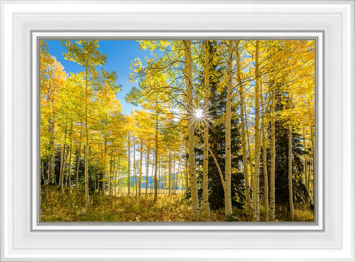 Autumn in the Rocky Mountains, Wasatch National Forest, Utah
