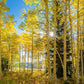 Autumn in the Rocky Mountains, Wasatch National Forest, Utah
