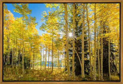 Autumn in the Rocky Mountains, Wasatch National Forest, Utah