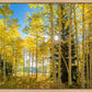 Autumn in the Rocky Mountains, Wasatch National Forest, Utah