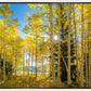 Autumn in the Rocky Mountains, Wasatch National Forest, Utah