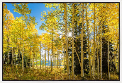 Autumn in the Rocky Mountains, Wasatch National Forest, Utah