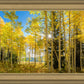 Autumn in the Rocky Mountains, Wasatch National Forest, Utah