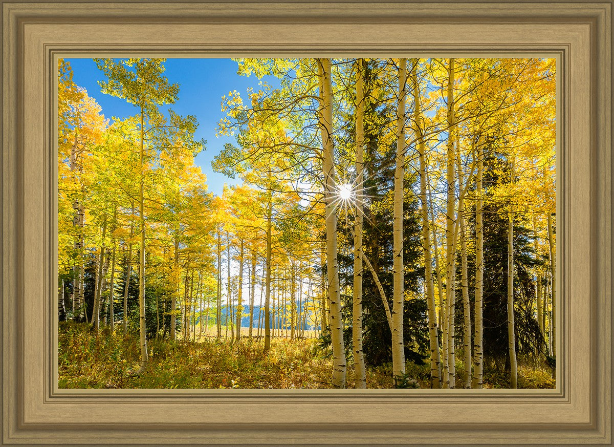Autumn in the Rocky Mountains, Wasatch National Forest, Utah