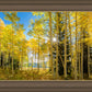 Autumn in the Rocky Mountains, Wasatch National Forest, Utah