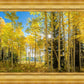 Autumn in the Rocky Mountains, Wasatch National Forest, Utah