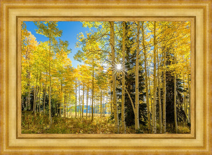 Autumn in the Rocky Mountains, Wasatch National Forest, Utah