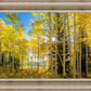 Autumn in the Rocky Mountains, Wasatch National Forest, Utah