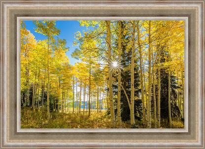 Autumn in the Rocky Mountains, Wasatch National Forest, Utah