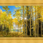 Autumn in the Rocky Mountains, Wasatch National Forest, Utah