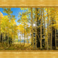 Autumn in the Rocky Mountains, Wasatch National Forest, Utah