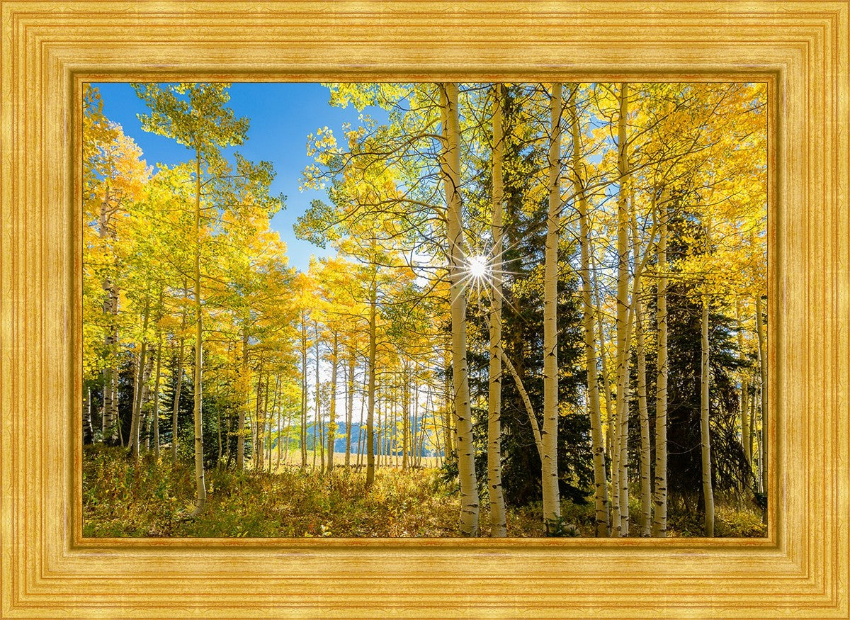 Autumn in the Rocky Mountains, Wasatch National Forest, Utah