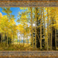 Autumn in the Rocky Mountains, Wasatch National Forest, Utah
