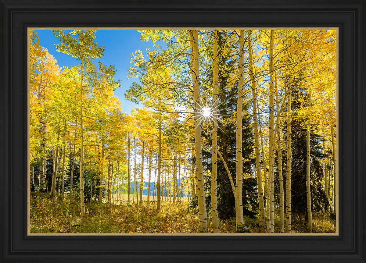 Autumn in the Rocky Mountains, Wasatch National Forest, Utah