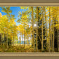 Autumn in the Rocky Mountains, Wasatch National Forest, Utah