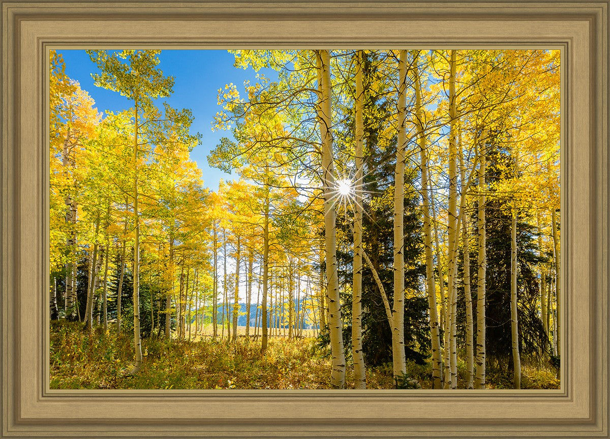Autumn in the Rocky Mountains, Wasatch National Forest, Utah