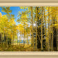 Autumn in the Rocky Mountains, Wasatch National Forest, Utah