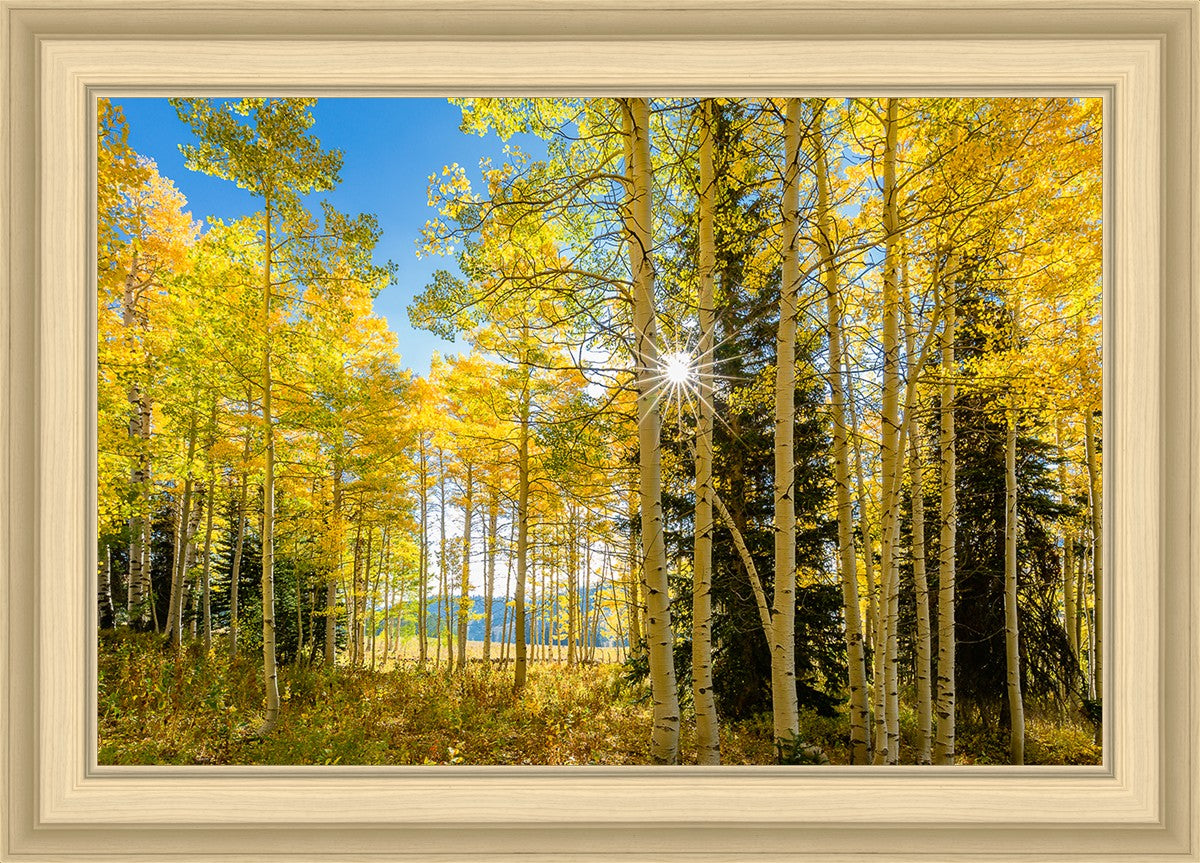 Autumn in the Rocky Mountains, Wasatch National Forest, Utah