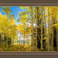 Autumn in the Rocky Mountains, Wasatch National Forest, Utah