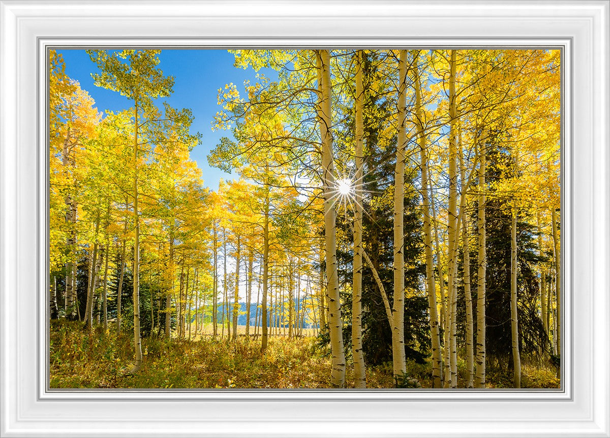 Autumn in the Rocky Mountains, Wasatch National Forest, Utah