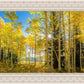 Autumn in the Rocky Mountains, Wasatch National Forest, Utah