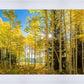 Autumn in the Rocky Mountains, Wasatch National Forest, Utah