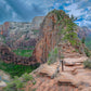 Zion National Park, Utah. Angels Landing Panorama