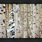 Christmas Around the Corner, Guardsman Pass, Park City, Utah