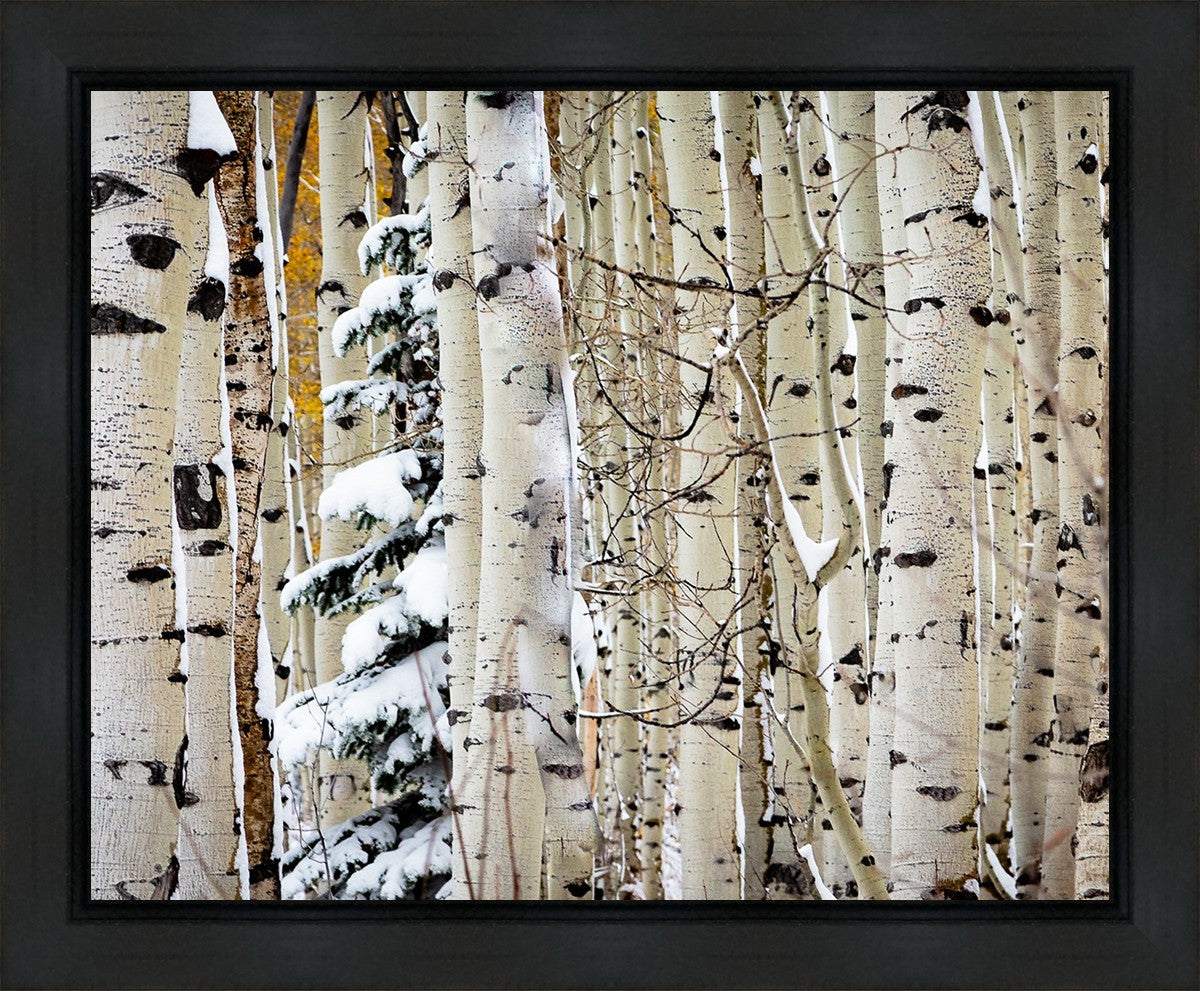 Christmas Around the Corner, Guardsman Pass, Park City, Utah