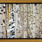 Christmas Around the Corner, Guardsman Pass, Park City, Utah