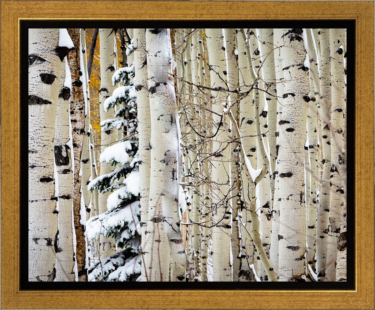 Christmas Around the Corner, Guardsman Pass, Park City, Utah