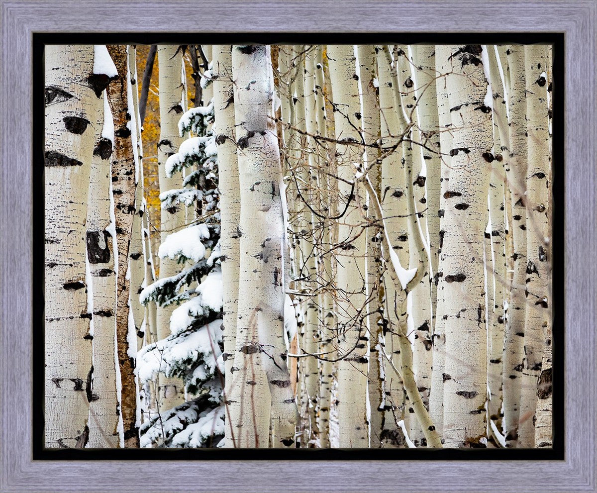 Christmas Around the Corner, Guardsman Pass, Park City, Utah