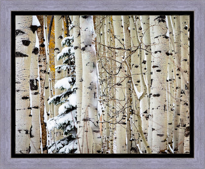 Christmas Around the Corner, Guardsman Pass, Park City, Utah