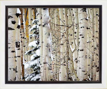 Christmas Around the Corner, Guardsman Pass, Park City, Utah