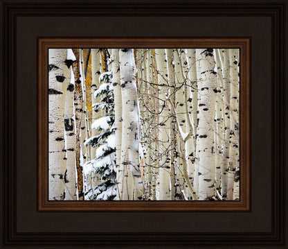 Christmas Around the Corner, Guardsman Pass, Park City, Utah