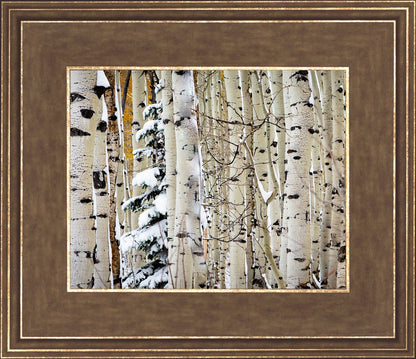 Christmas Around the Corner, Guardsman Pass, Park City, Utah