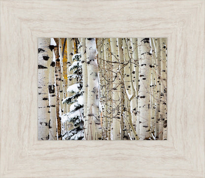 Christmas Around the Corner, Guardsman Pass, Park City, Utah