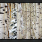 Christmas Around the Corner, Guardsman Pass, Park City, Utah