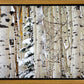 Christmas Around the Corner, Guardsman Pass, Park City, Utah