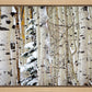 Christmas Around the Corner, Guardsman Pass, Park City, Utah