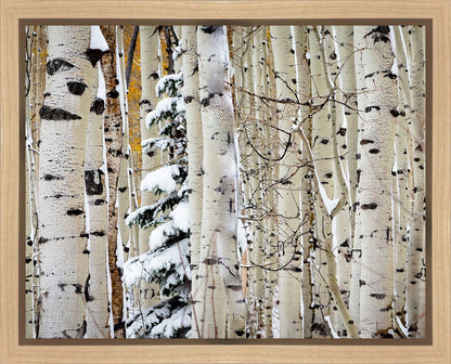 Christmas Around the Corner, Guardsman Pass, Park City, Utah