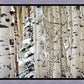 Christmas Around the Corner, Guardsman Pass, Park City, Utah