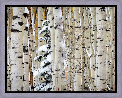 Christmas Around the Corner, Guardsman Pass, Park City, Utah
