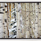 Christmas Around the Corner, Guardsman Pass, Park City, Utah