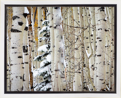 Christmas Around the Corner, Guardsman Pass, Park City, Utah